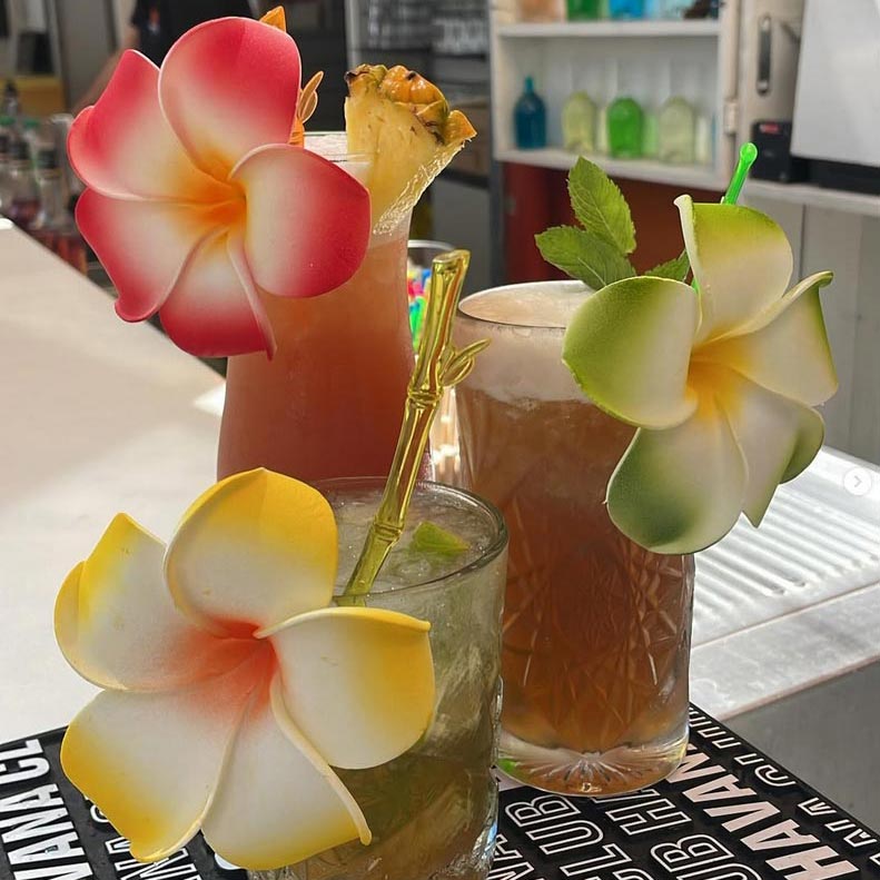 bar cocktail Le Barcares